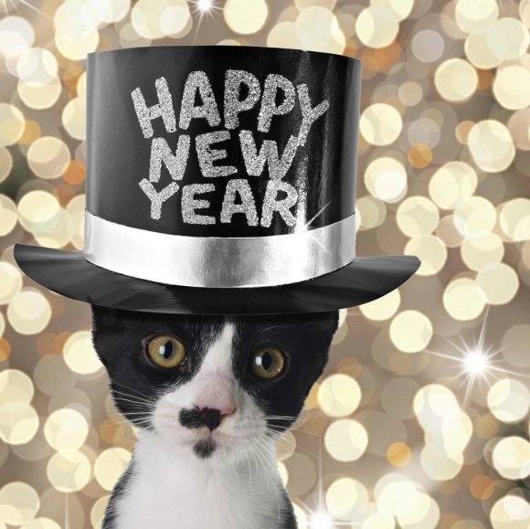 New-Year-Resolutions-Pet-Owners